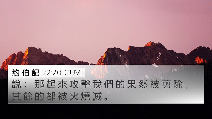 約 伯 記 22:20 CUVT 4K Wallpaper - 說 ： 那 起 來 攻 擊 我 們 的 果 然 - 4K Wallpaper Bible Verse