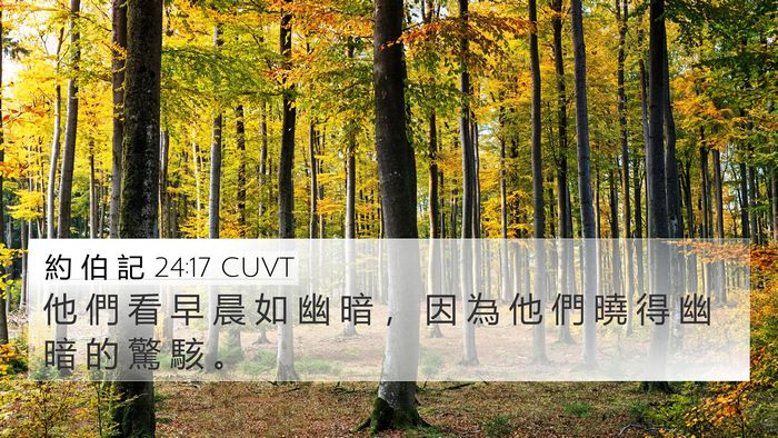 約 伯 記 24:17 CUVT Bible Verse Image