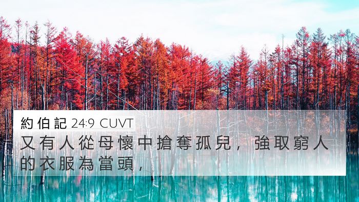 約 伯 記 24:9 CUVT Bible Verse Image