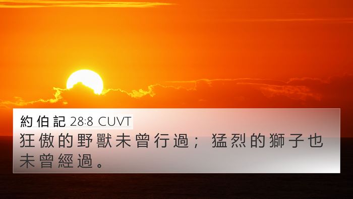 約 伯 記 28:8 CUVT 4K Wallpaper - 狂 傲 的 野 獸 未 曾 行 過 ； 猛 烈 - 4K Wallpaper Bible Verse