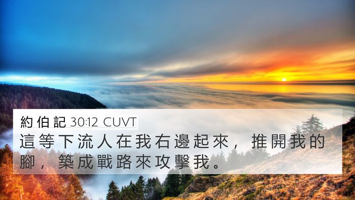 約 伯 記 30:12 CUVT Bible Verse Image