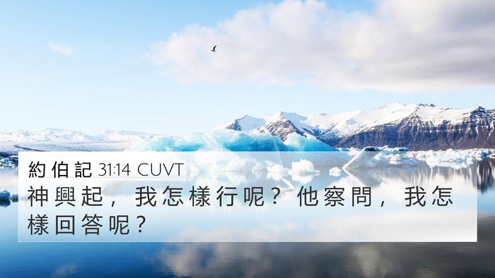 約 伯 記 31:14 CUVT Bible Verse Image
