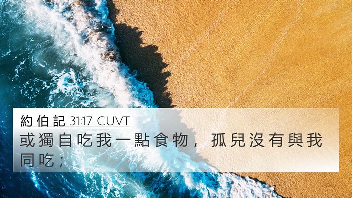 約 伯 記 31:17 CUVT Bible Verse Image