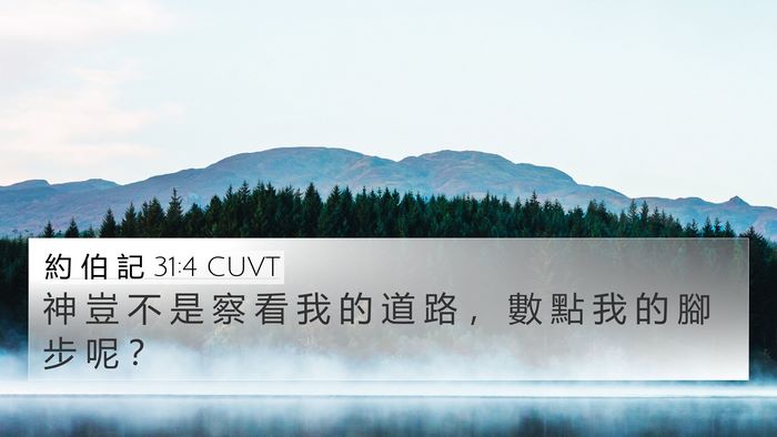 約 伯 記 31:4 CUVT Bible Verse Image