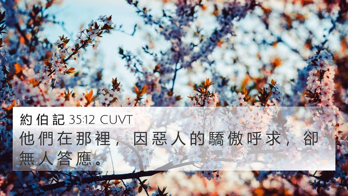 約 伯 記 35:12 CUVT Bible Verse Image