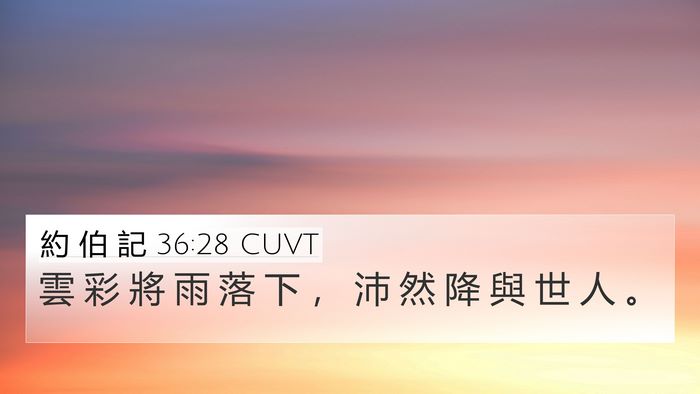約 伯 記 36:28 CUVT 4K Wallpaper - 雲 彩 將 雨 落 下 ， 沛 然 降 與 世 - 4K Wallpaper Bible Verse