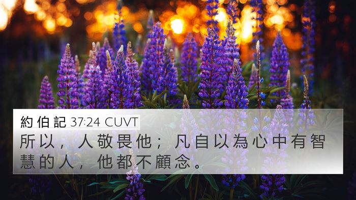 約 伯 記 37:24 CUVT 4K Wallpaper - 所 以 ， 人 敬 畏 他 ； 凡 自 以 為 - 4K Wallpaper Bible Verse