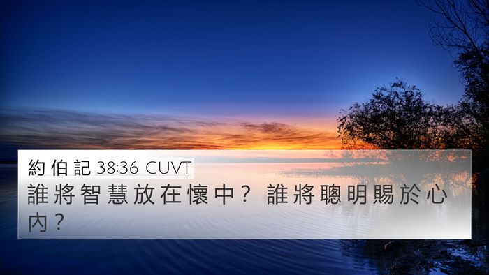 約 伯 記 38:36 CUVT 4K Wallpaper - 誰 將 智 慧 放 在 懷 中 ？ 誰 將 聰 - 4K Wallpaper Bible Verse