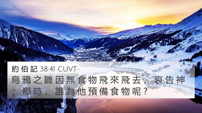約 伯 記 38:41 CUVT Bible Verse Image