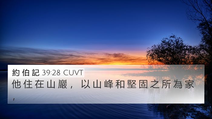 約 伯 記 39:28 CUVT 4K Wallpaper - 他 住 在 山 巖 ， 以 山 峰 和 堅 固 - 4K Wallpaper Bible Verse