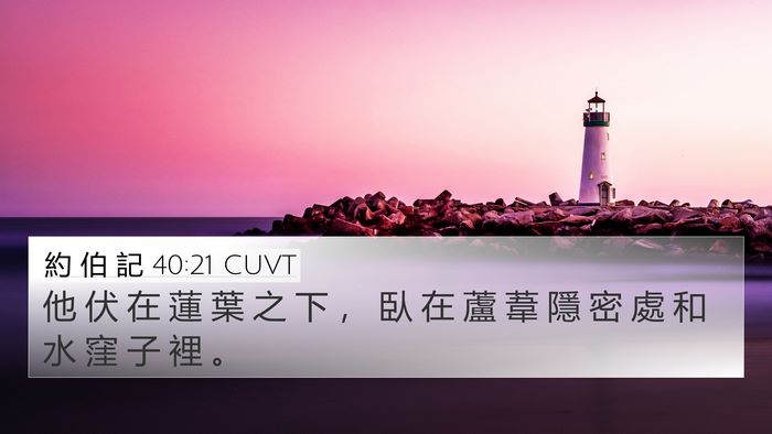 約 伯 記 40:21 CUVT 4K Wallpaper - 他 伏 在 蓮 葉 之 下 ， 臥 在 蘆 葦 - 4K Wallpaper Bible Verse