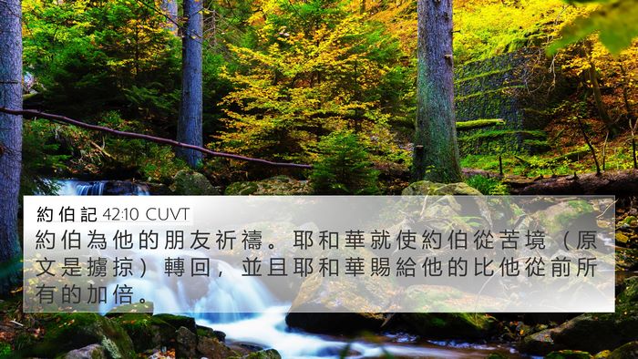 約 伯 記 42:10 CUVT Bible Verse Image