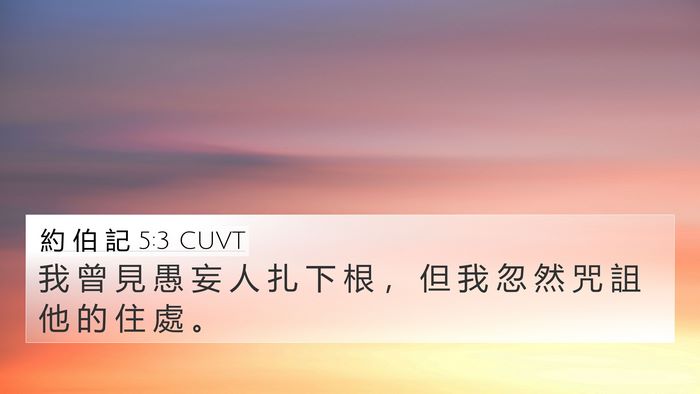 約 伯 記 5:3 CUVT Bible Verse Image