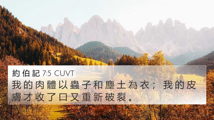 約 伯 記 7:5 CUVT Bible Verse Image