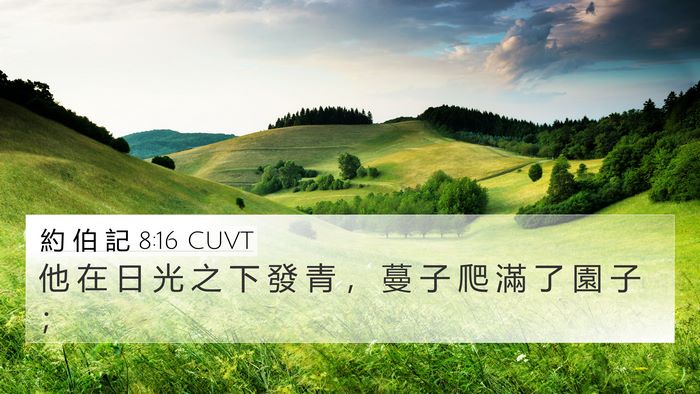 約 伯 記 8:16 CUVT Bible Verse Image