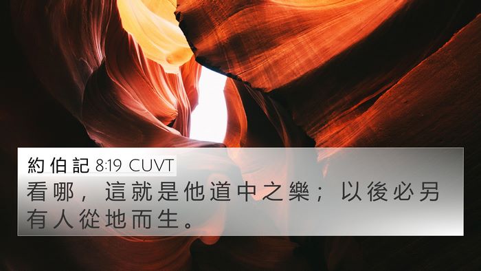 約 伯 記 8:19 CUVT 4K Wallpaper - 看 哪 ， 這 就 是 他 道 中 之 樂 ； - 4K Wallpaper Bible Verse