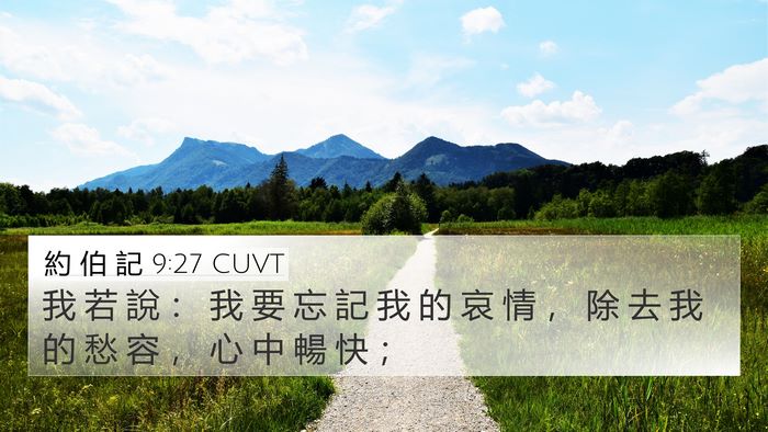 約 伯 記 9:27 CUVT 4K Wallpaper - 我 若 說 ： 我 要 忘 記 我 的 哀 情 - 4K Wallpaper Bible Verse