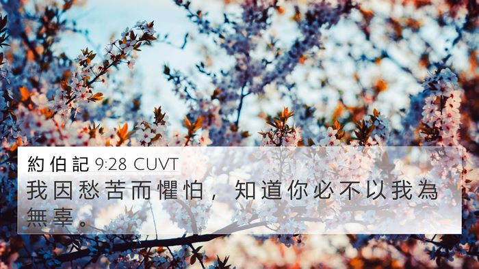約 伯 記 9:28 CUVT Bible Verse Image