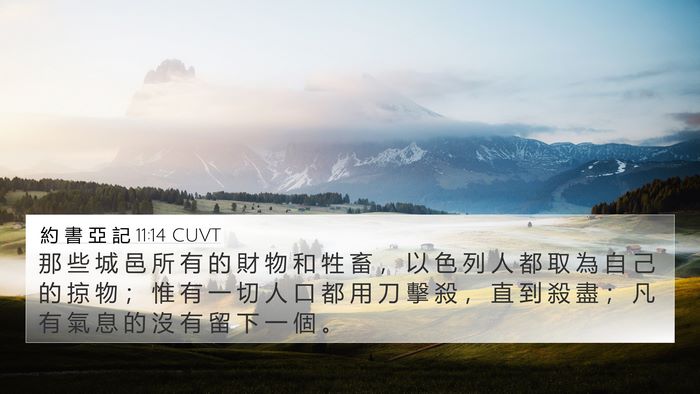 約 書 亞 記 11:14 CUVT Bible Verse Image