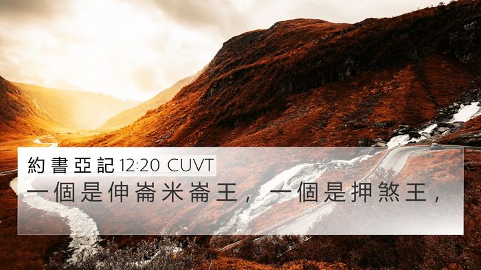 約 書 亞 記 12:20 CUVT Bible Verse Image