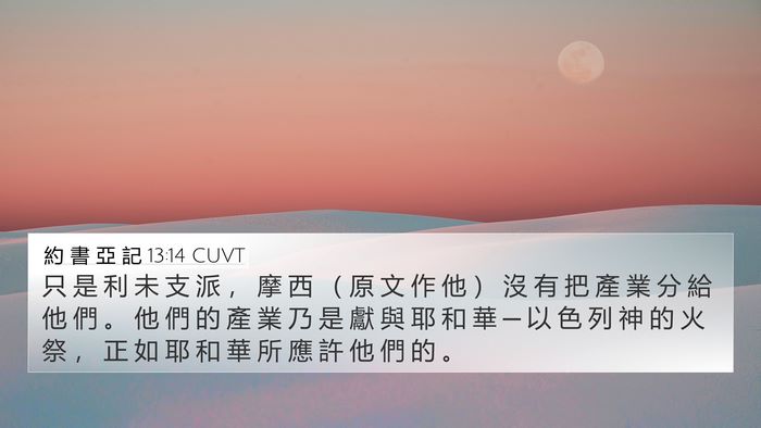 約 書 亞 記 13:14 CUVT Bible Verse Image