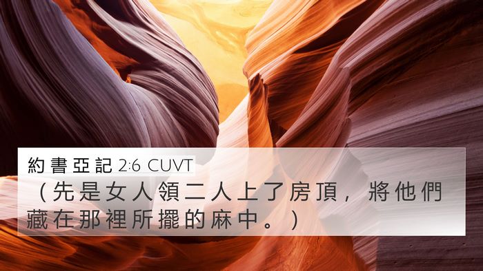 約 書 亞 記 2:6 CUVT Bible Verse Image