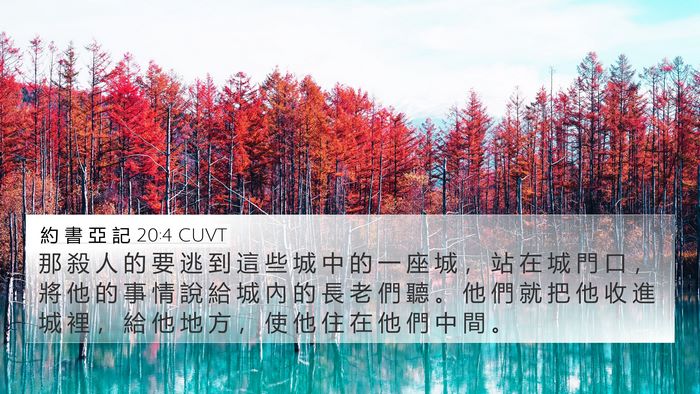 約 書 亞 記 20:4 CUVT Bible Verse Image