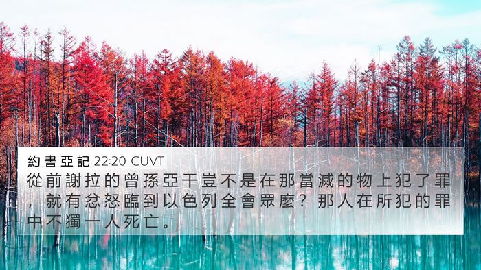 約 書 亞 記 22:20 CUVT Bible Verse Image