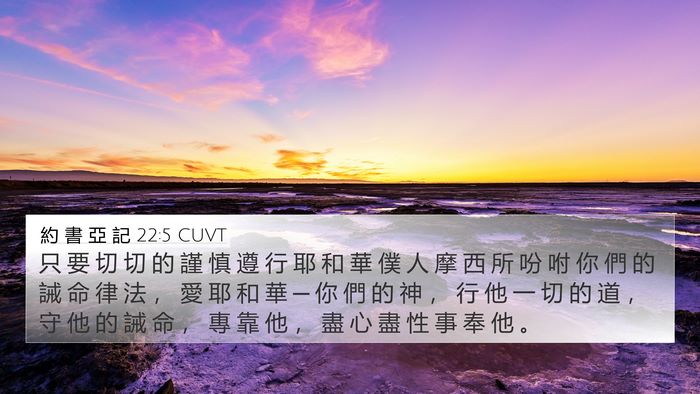 約 書 亞 記 22:5 CUVT Bible Verse Image