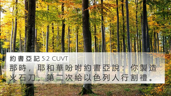 約 書 亞 記 5:2 CUVT Bible Verse Image