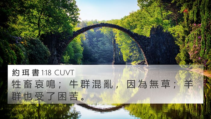 約 珥 書 1:18 CUVT Bible Verse Image