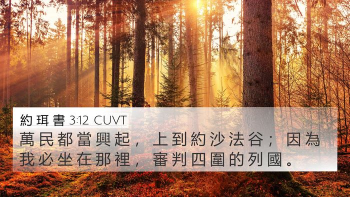 約 珥 書 3:12 CUVT Bible Verse Image