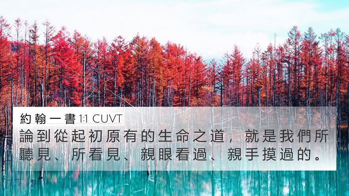 約 翰 一 書 1:1 CUVT Bible Verse Image