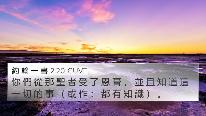 約 翰 一 書 2:20 CUVT Bible Verse Image