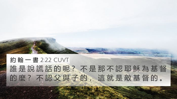 約 翰 一 書 2:22 CUVT Bible Verse Image