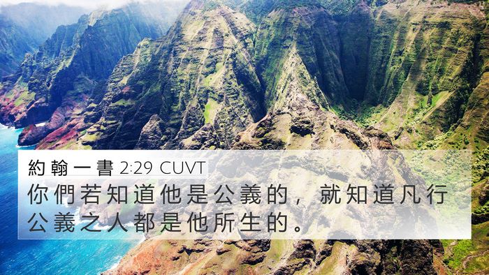 約 翰 一 書 2:29 CUVT Bible Verse Image
