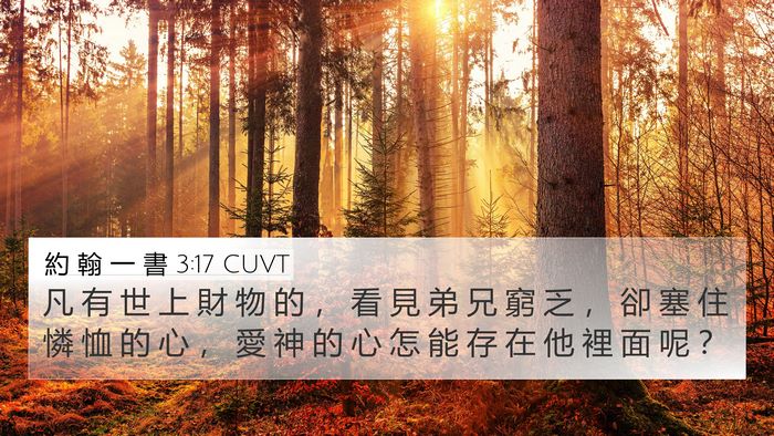 約 翰 一 書 3:17 CUVT Bible Verse Image
