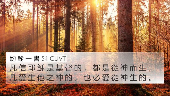 約 翰 一 書 5:1 CUVT Bible Verse Image