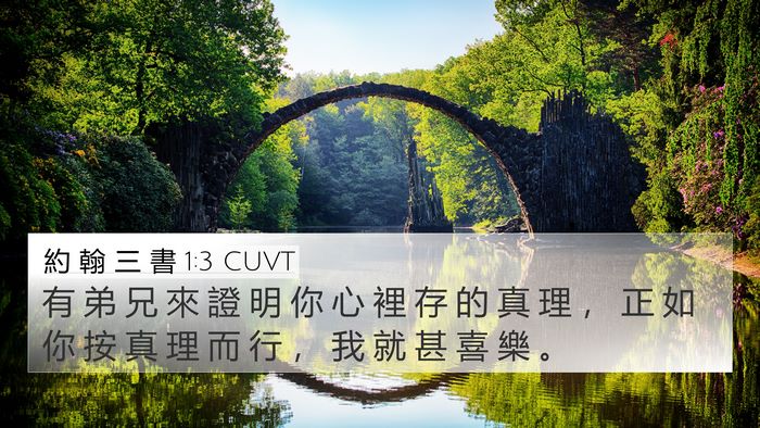 約 翰 三 書 1:3 CUVT Bible Verse Image