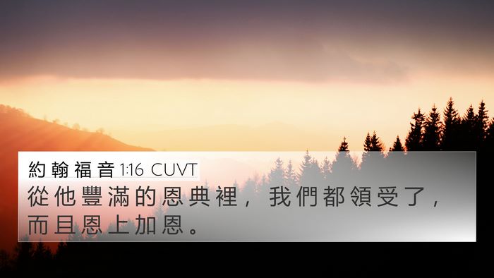 約 翰 福 音 1:16 CUVT Bible Verse Image