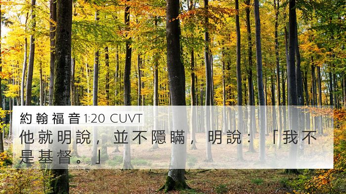 約 翰 福 音 1:20 CUVT Bible Verse Image