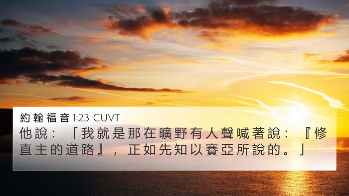 約 翰 福 音 1:23 CUVT Bible Verse Image