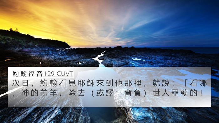 約 翰 福 音 1:29 CUVT Bible Verse Image