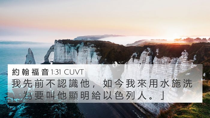 約 翰 福 音 1:31 CUVT Bible Verse Image