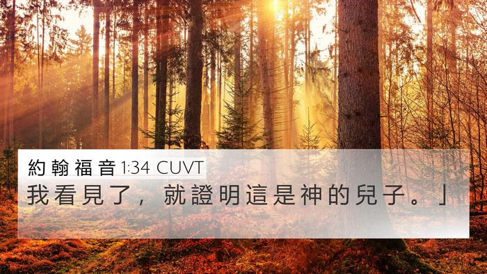 約 翰 福 音 1:34 CUVT Bible Verse Image