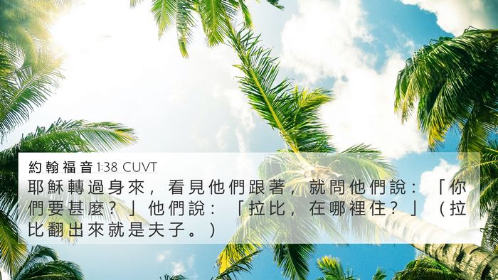 約 翰 福 音 1:38 CUVT Bible Verse Image