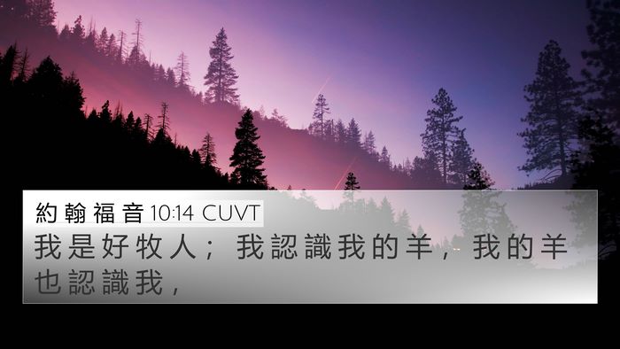 約 翰 福 音 10:14 CUVT Bible Verse Image