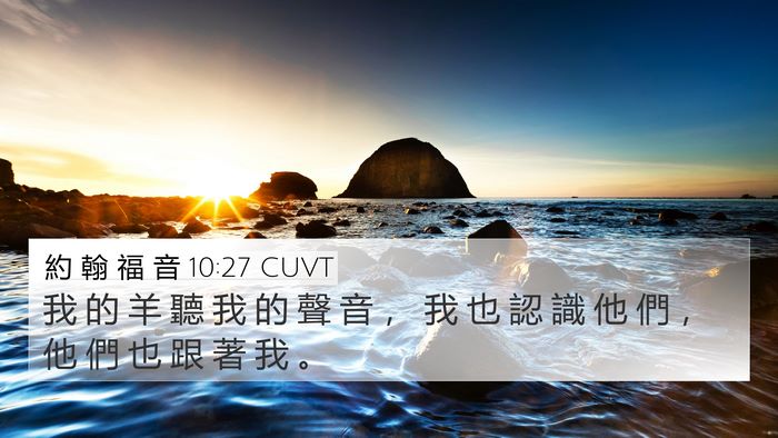 約 翰 福 音 10:27 CUVT Bible Verse Image