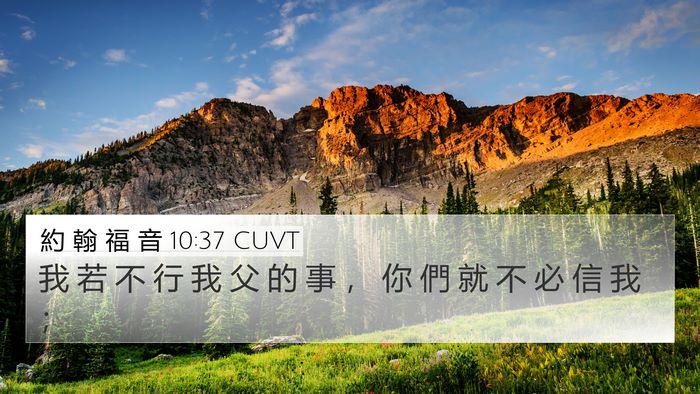 約 翰 福 音 10:37 CUVT Bible Verse Image