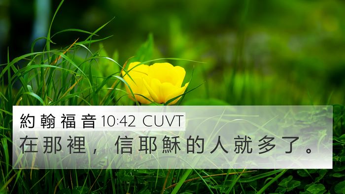 約 翰 福 音 10:42 CUVT 4K Wallpaper - 在 那 裡 ， 信 耶 穌 的 人 就 多 了 - 4K Wallpaper Bible Verse